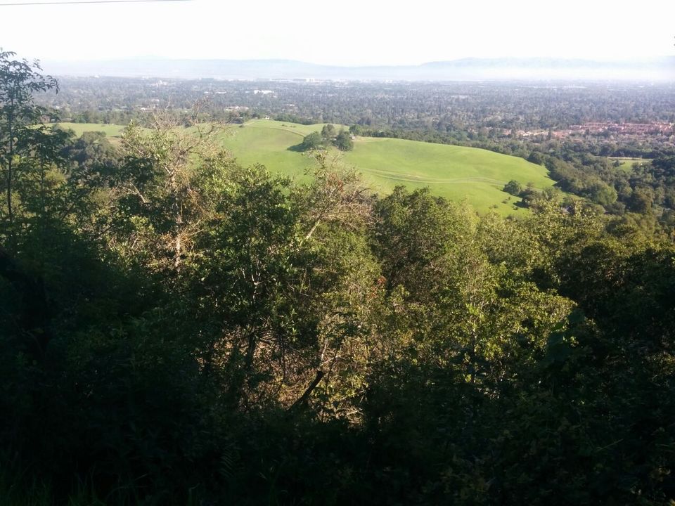 Photo of Hiking up black mountain (Bay Area) 7/7 by Akshat Harbola