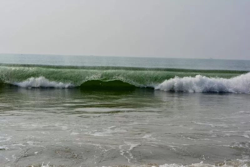 Photo of Puri, Odisha, India by Bima Choudhury