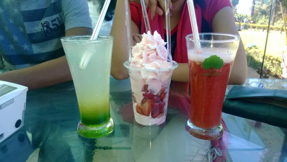 Photo of Milestone Mahabaleshwar via Panchgani 8/9 by aditi.paliwal022