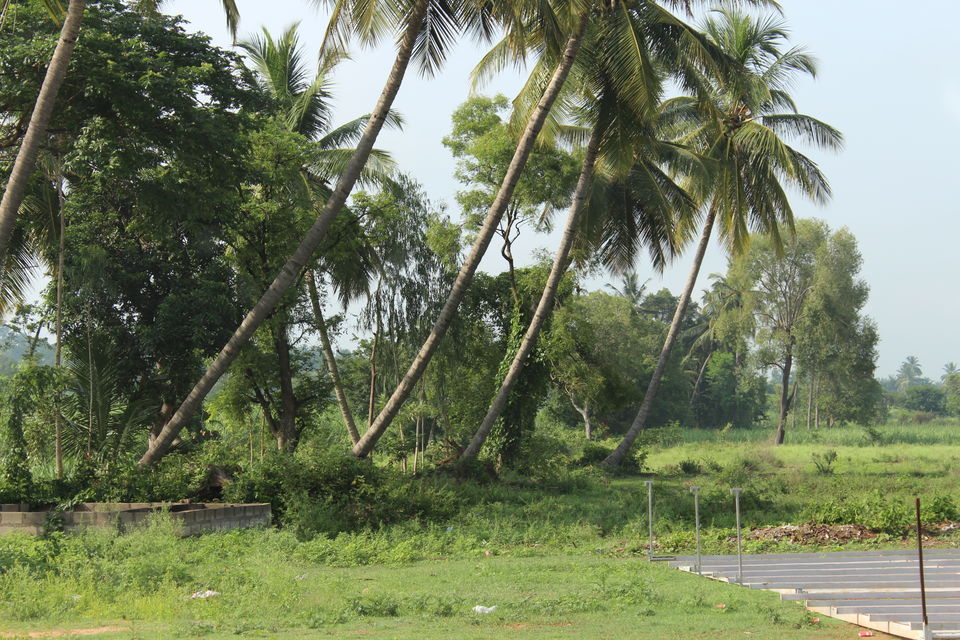 Photo of Wayanad a Road Trip 2/51 by aditi.paliwal022