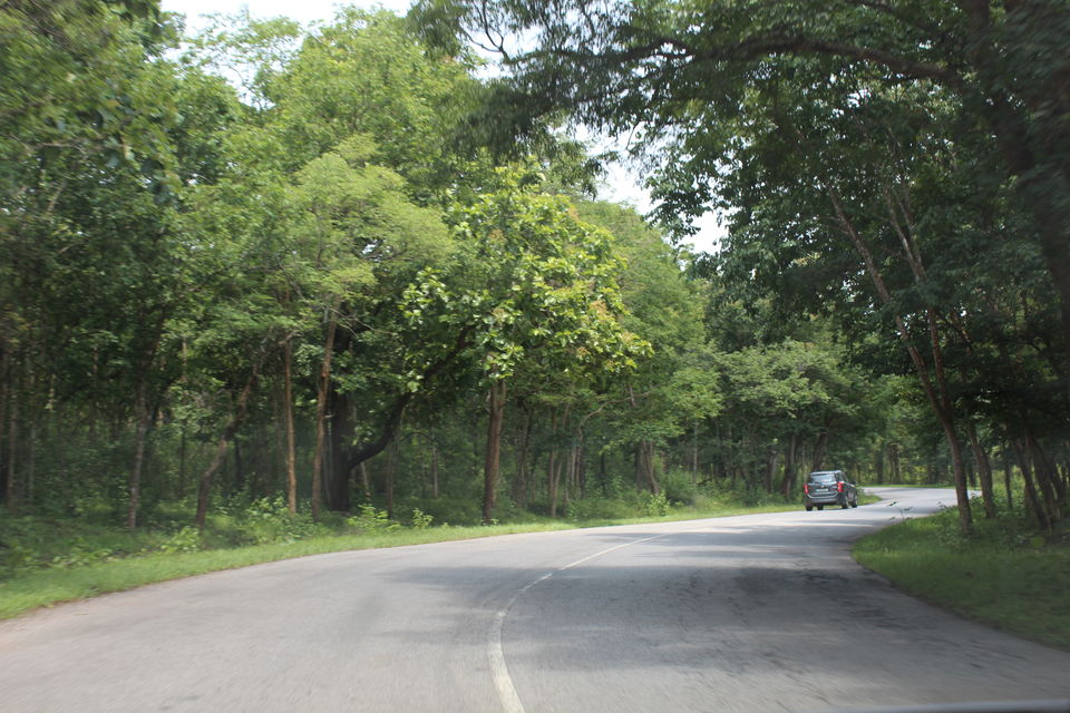 Photo of Wayanad a Road Trip 3/51 by aditi.paliwal022