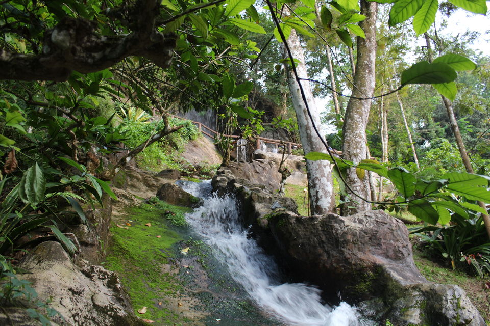Photo of Wayanad a Road Trip 21/51 by aditi.paliwal022