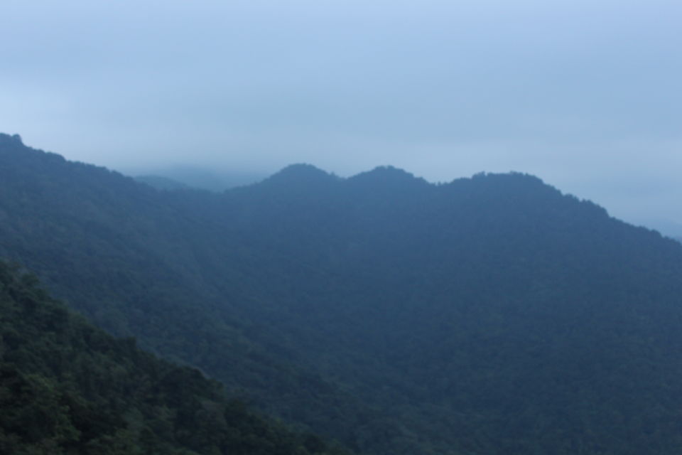 Photo of Wayanad a Road Trip 22/51 by aditi.paliwal022