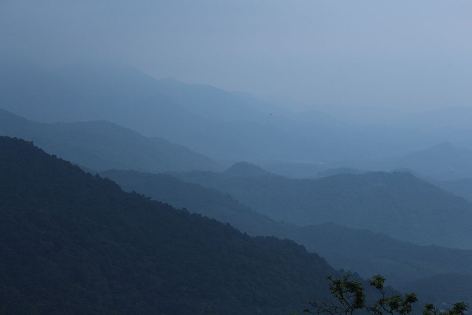 Photo of Wayanad a Road Trip 24/51 by aditi.paliwal022