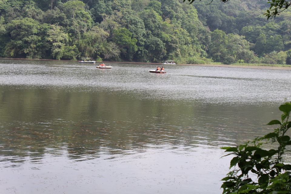 Photo of Wayanad a Road Trip 28/51 by aditi.paliwal022