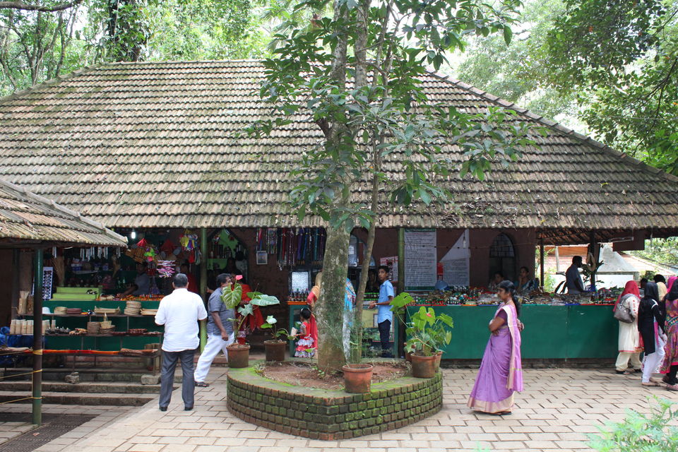 Photo of Wayanad a Road Trip 31/51 by aditi.paliwal022