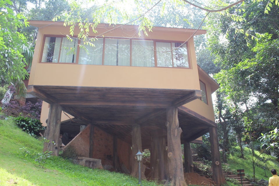 Photo of Wayanad a Road Trip 37/51 by aditi.paliwal022
