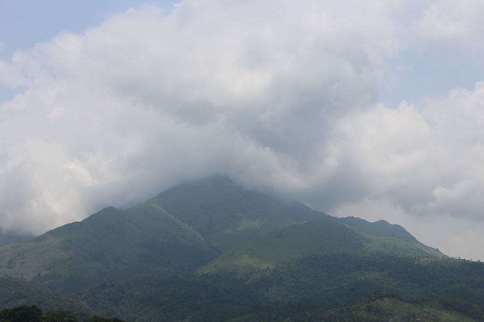 Photo of Wayanad a Road Trip 43/51 by aditi.paliwal022