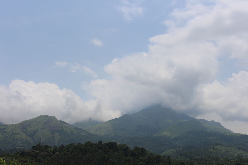 Photo of Wayanad a Road Trip 44/51 by aditi.paliwal022