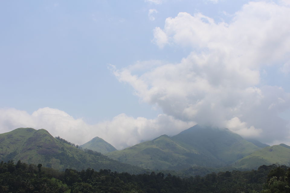 Photo of Wayanad a Road Trip 48/51 by aditi.paliwal022