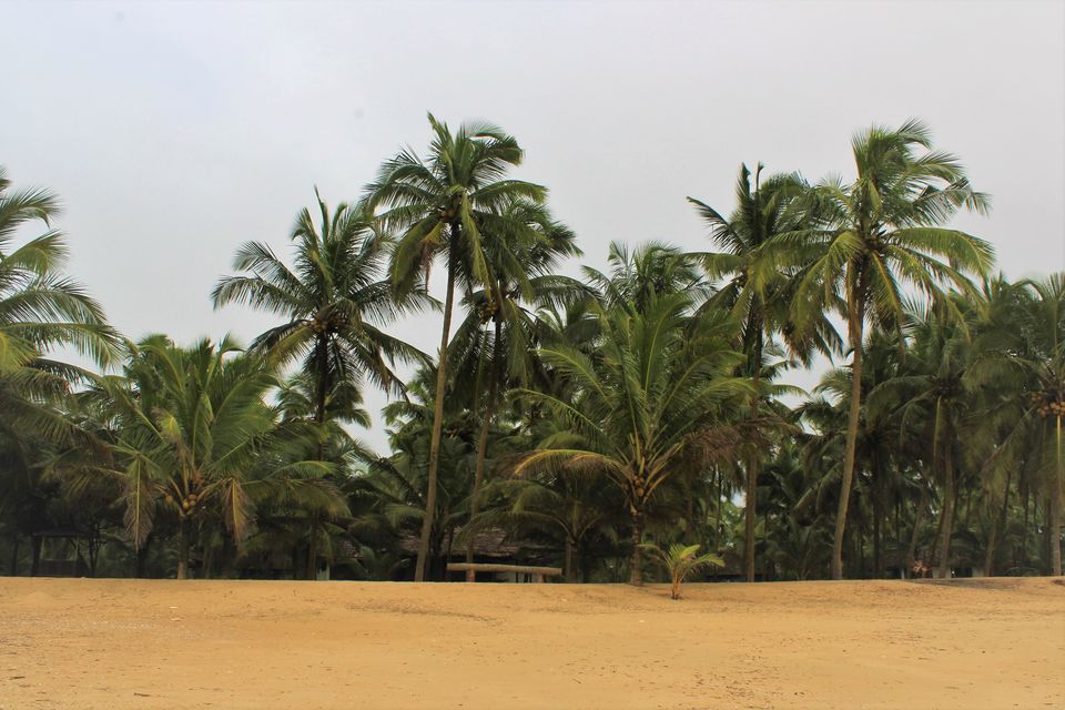 Photo of Bekal Diaries 2/4 by Sneha Rajgopal