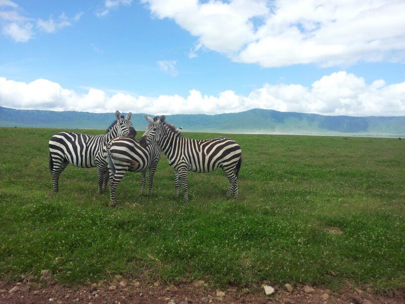 Photo of 3days / 2 nights trip Tanzania 4/6 by J. M. Tours Ltd