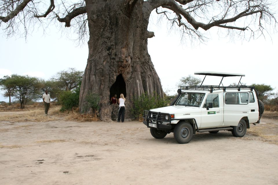 Photo of 5days / 4nights amazing Tanzania 1/7 by J. M. Tours Ltd