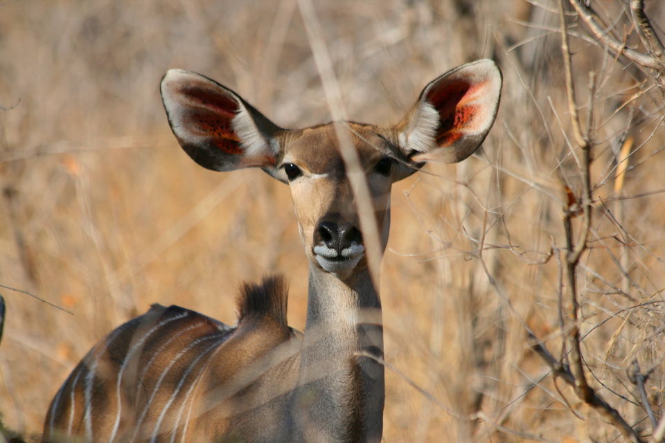 Photo of Experience Tanzania 4/4 by J. M. Tours Ltd