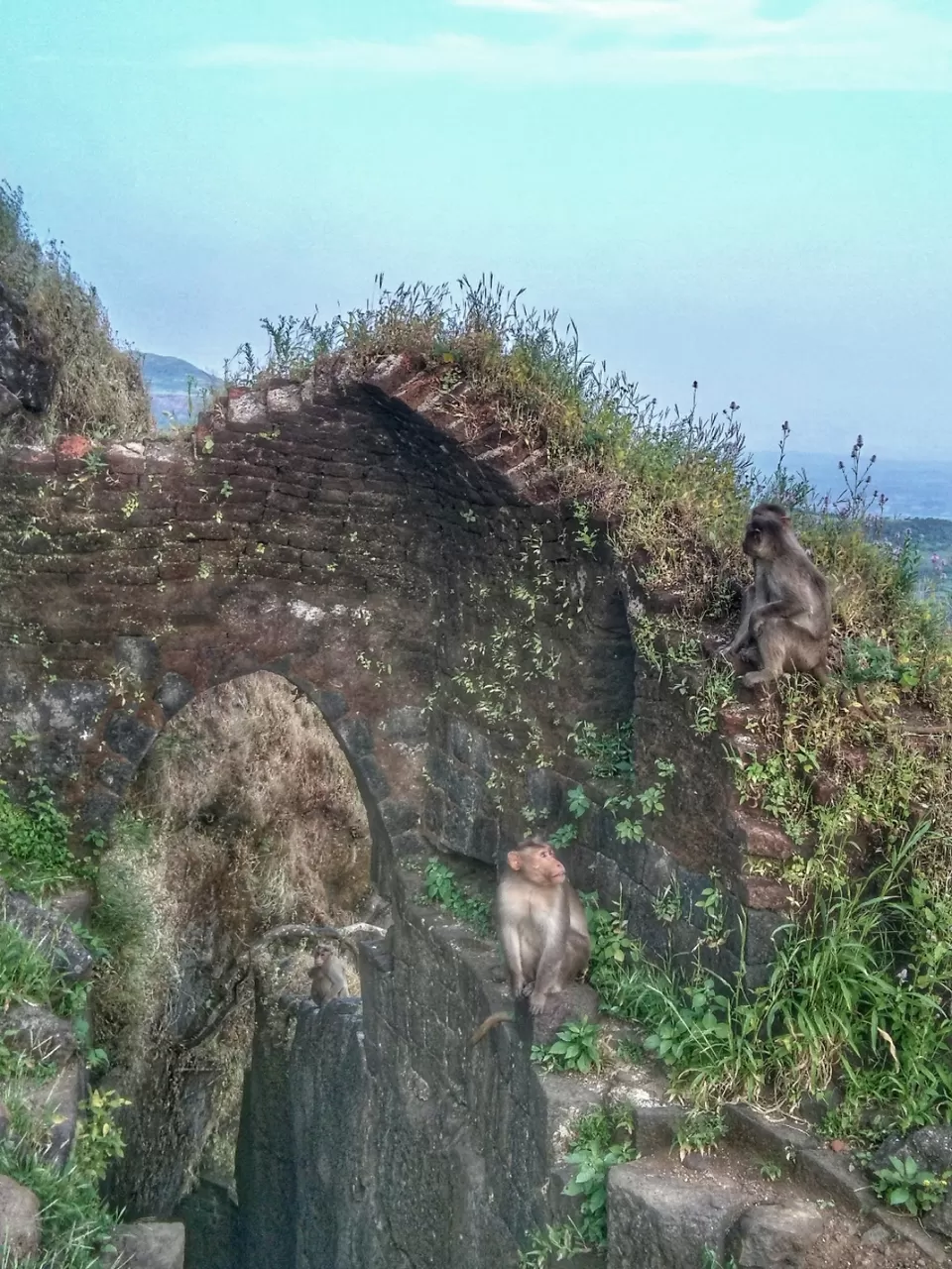 Photo of Harihar Fort, Nashik, Maharashtra, India by Siddhant Pednekar