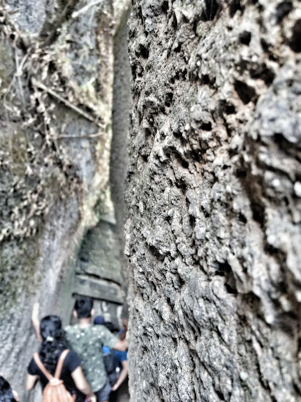 Photo of Harihar Fort, Nashik, Maharashtra, India by Siddhant Pednekar