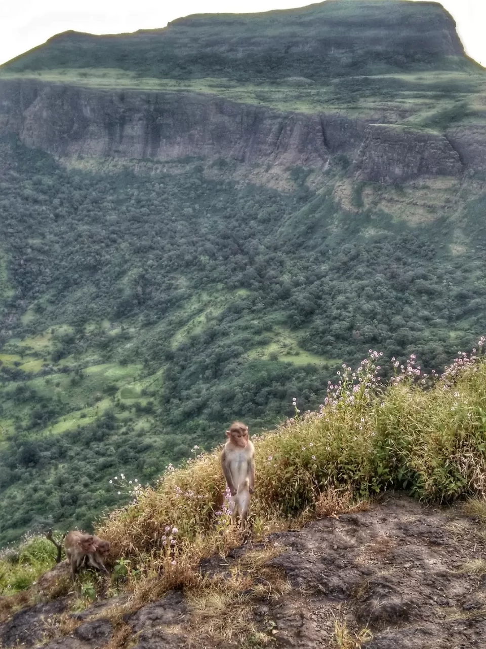 Photo of Harihar Fort, Nashik, Maharashtra, India by Siddhant Pednekar