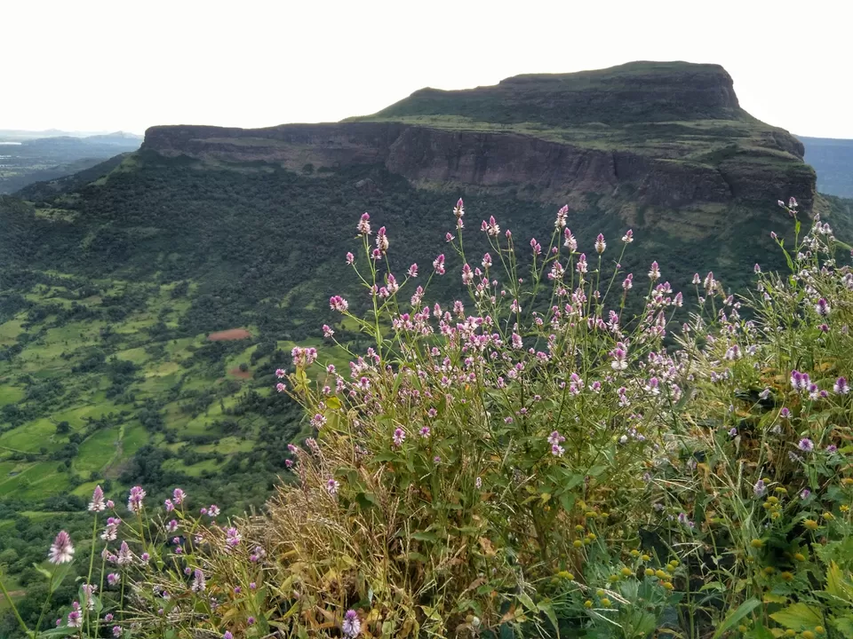 Photo of Harihar Fort, Nashik, Maharashtra, India by Siddhant Pednekar