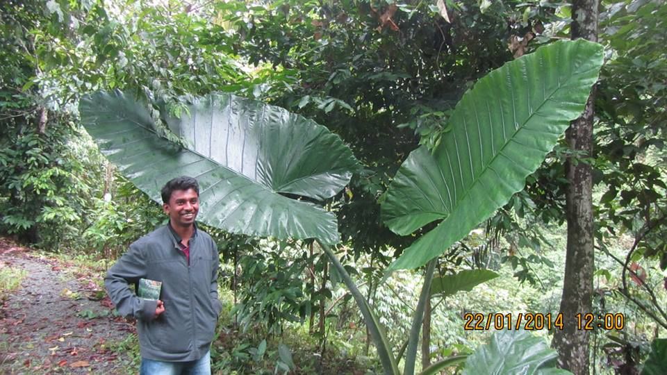 Photo of Explore Malaysia on a shoestring 8/30 by Keshav Lakshman