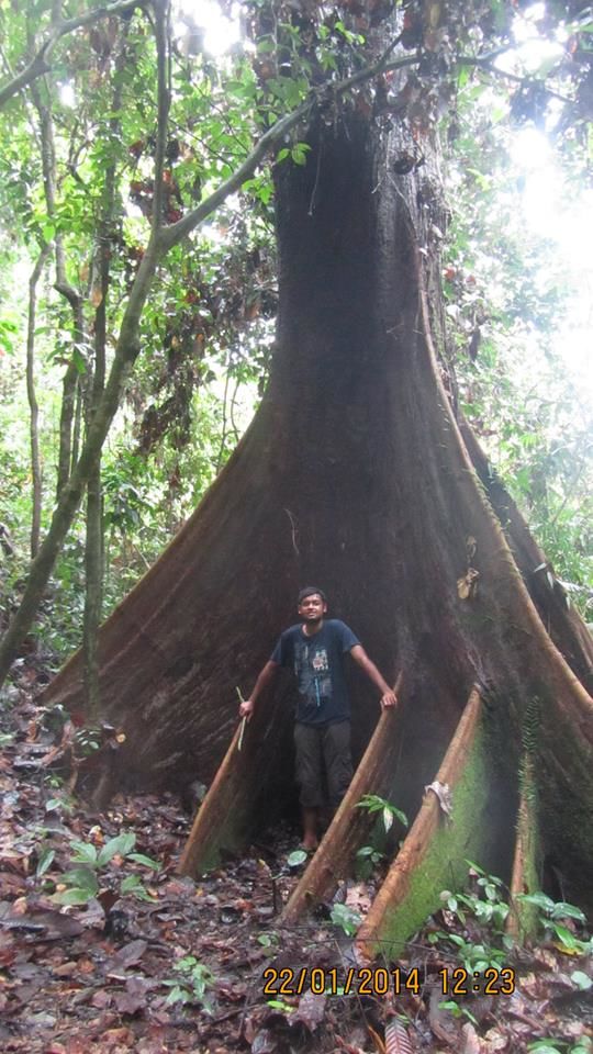 Photo of Explore Malaysia on a shoestring 9/30 by Keshav Lakshman