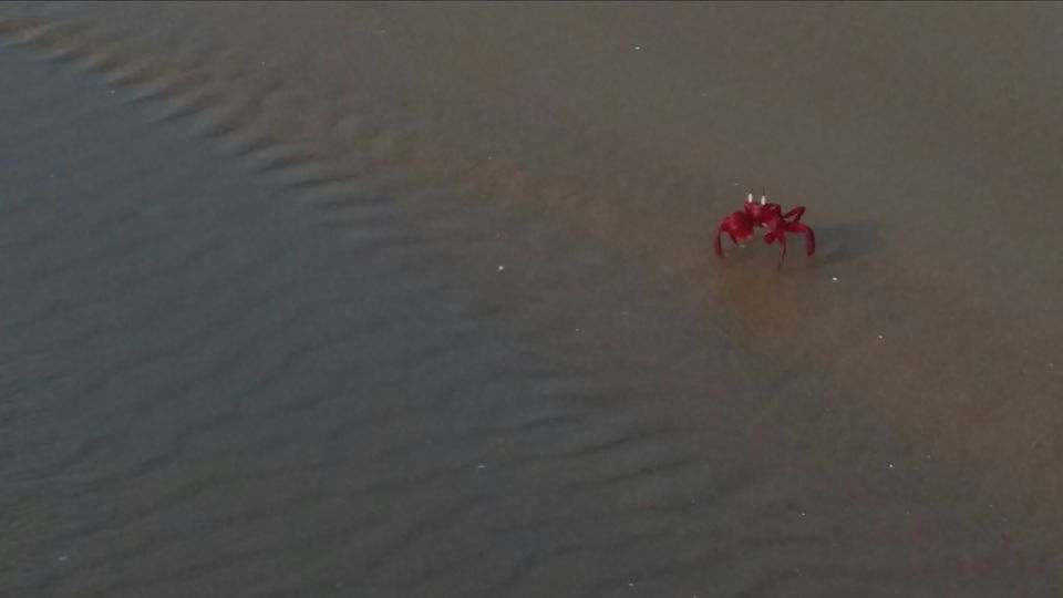Photo of Just Beachy~Sankarpur by Tanushree Roy