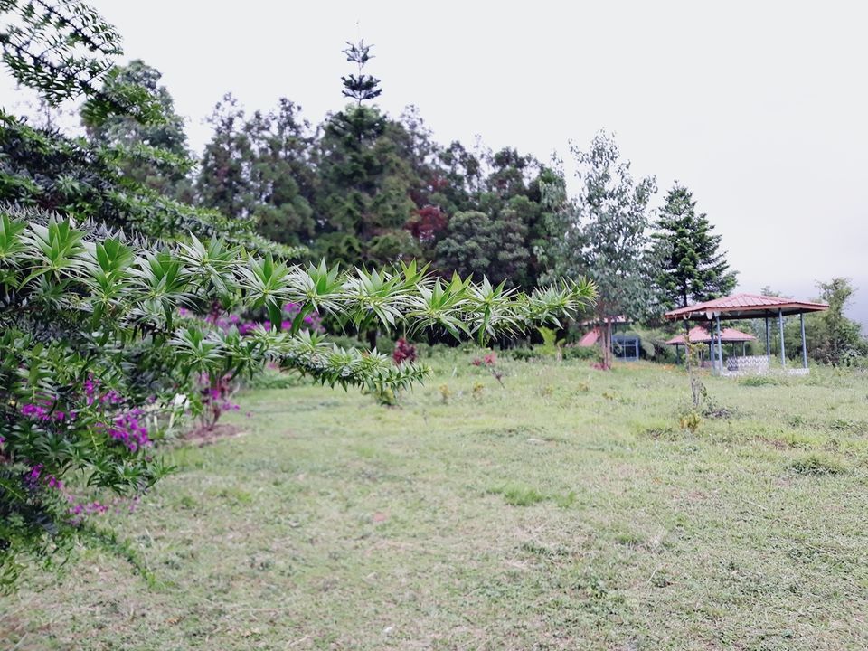 Photo of Murti Tourist Lodge - Bengal Tourism - Murti, Murti, West Bengal, India by Tanushree Roy