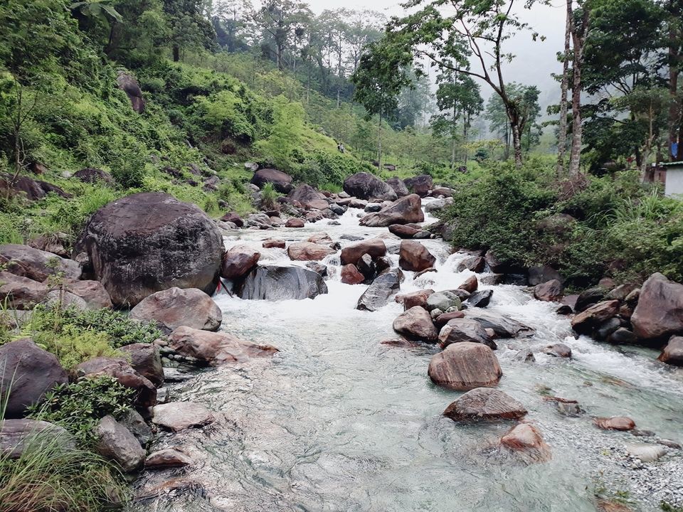 Photo of Murti Tourist Lodge - Bengal Tourism - Murti, Murti, West Bengal, India by Tanushree Roy