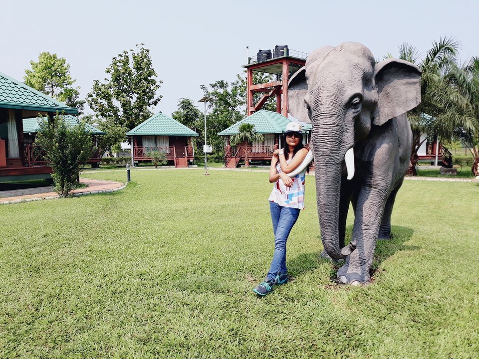 Photo of Murti Tourist Lodge - Bengal Tourism - Murti, Murti, West Bengal, India by Tanushree Roy