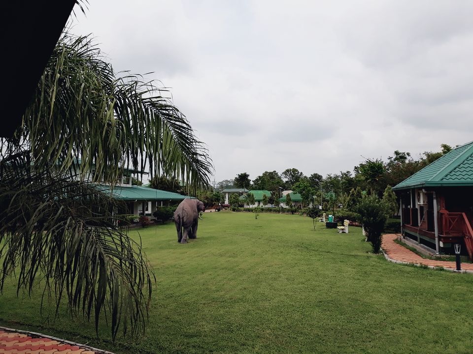 Photo of Murti Tourist Lodge - Bengal Tourism - Murti, Murti, West Bengal, India by Tanushree Roy