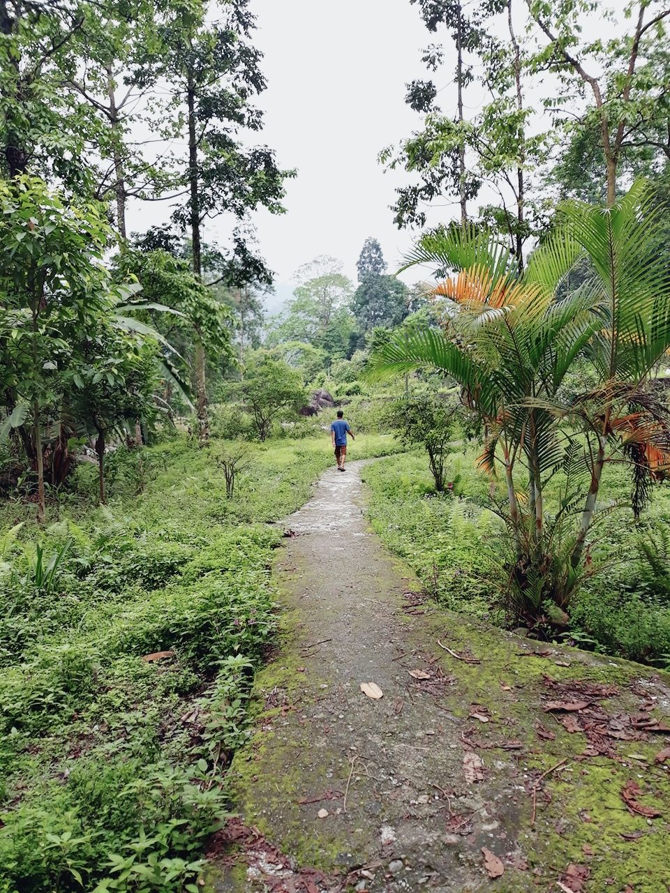 Photo of Murti Tourist Lodge - Bengal Tourism - Murti, Murti, West Bengal, India by Tanushree Roy