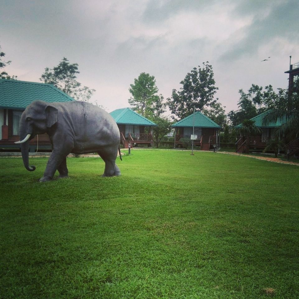 Photo of Murti Tourist Lodge - Bengal Tourism - Murti, Murti, West Bengal, India by Tanushree Roy