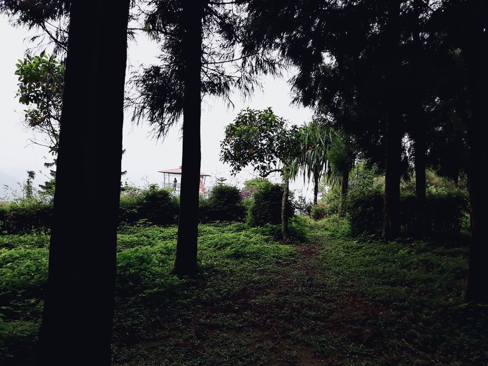Photo of Murti Tourist Lodge - Bengal Tourism - Murti, Murti, West Bengal, India by Tanushree Roy