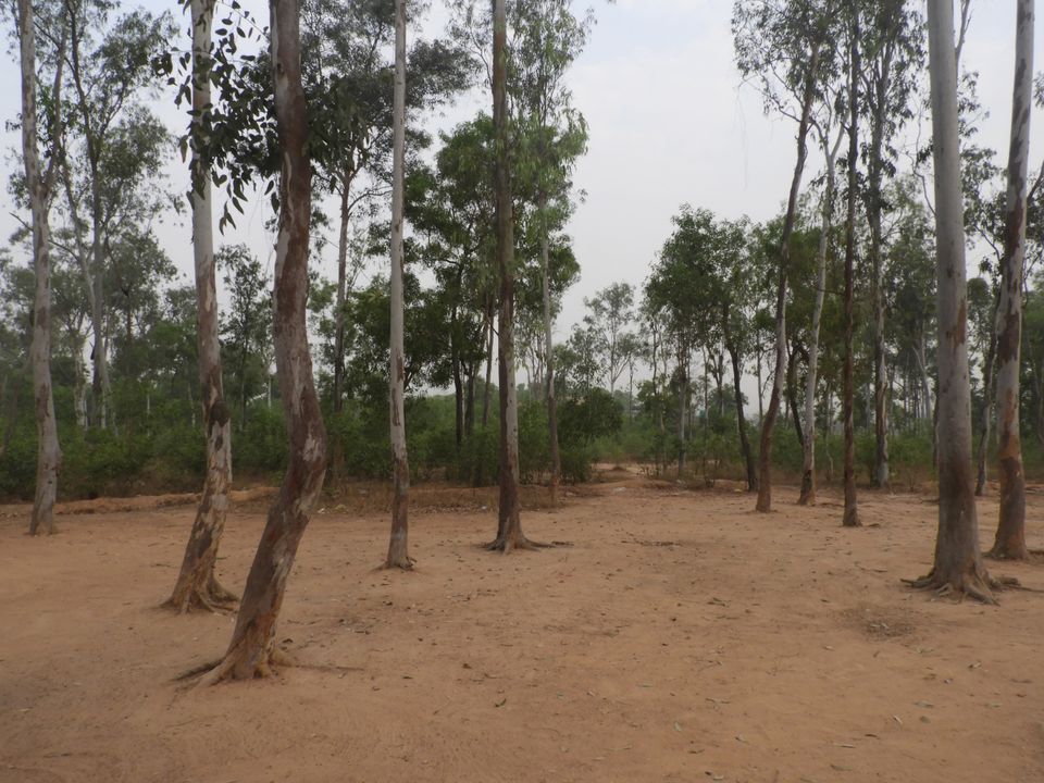 Photo of Bolpur~ land of Rabi Thakur by Tanushree Roy