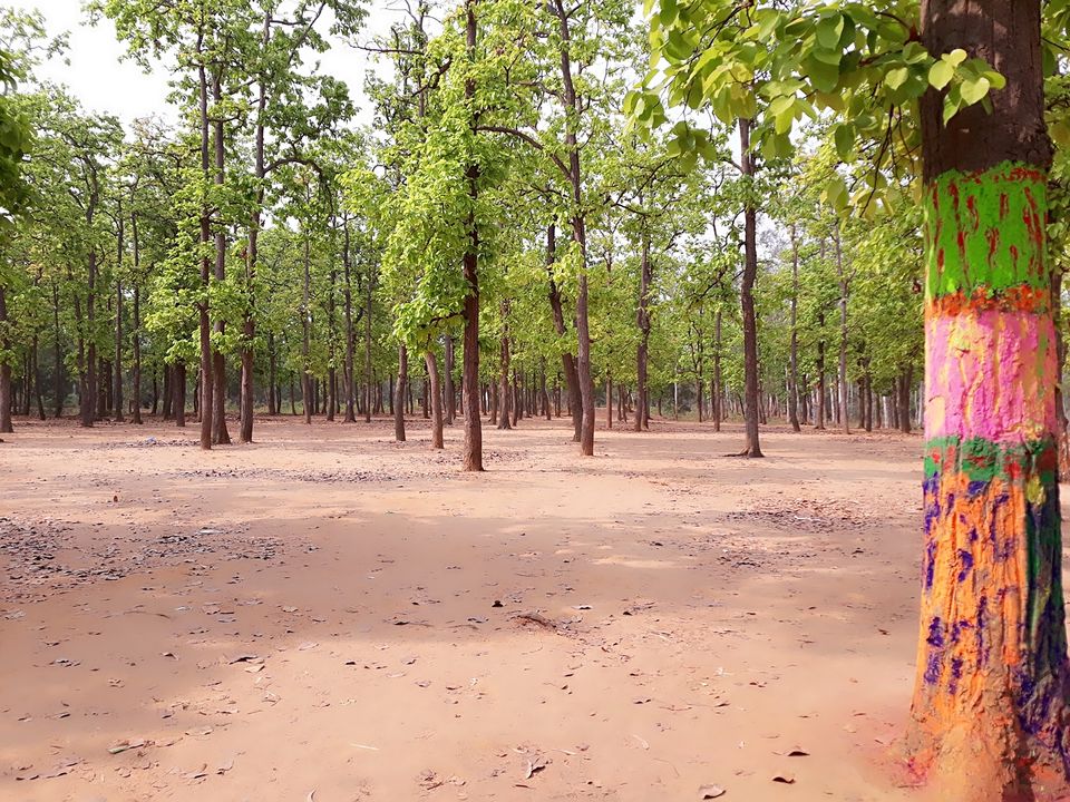 Photo of Bolpur~ land of Rabi Thakur by Tanushree Roy