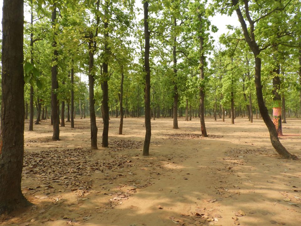 Photo of Bolpur~ land of Rabi Thakur by Tanushree Roy
