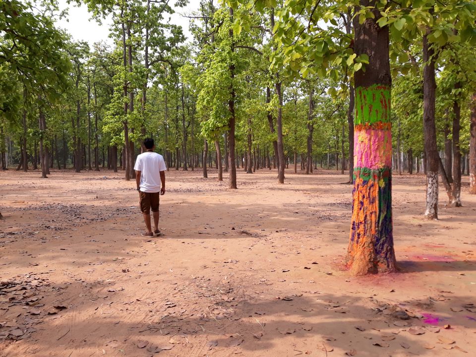 Photo of Bolpur~ land of Rabi Thakur by Tanushree Roy