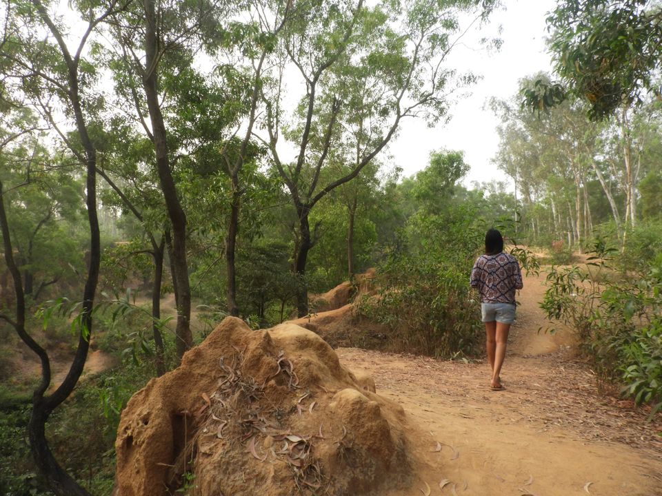 Photo of Bolpur~ land of Rabi Thakur by Tanushree Roy