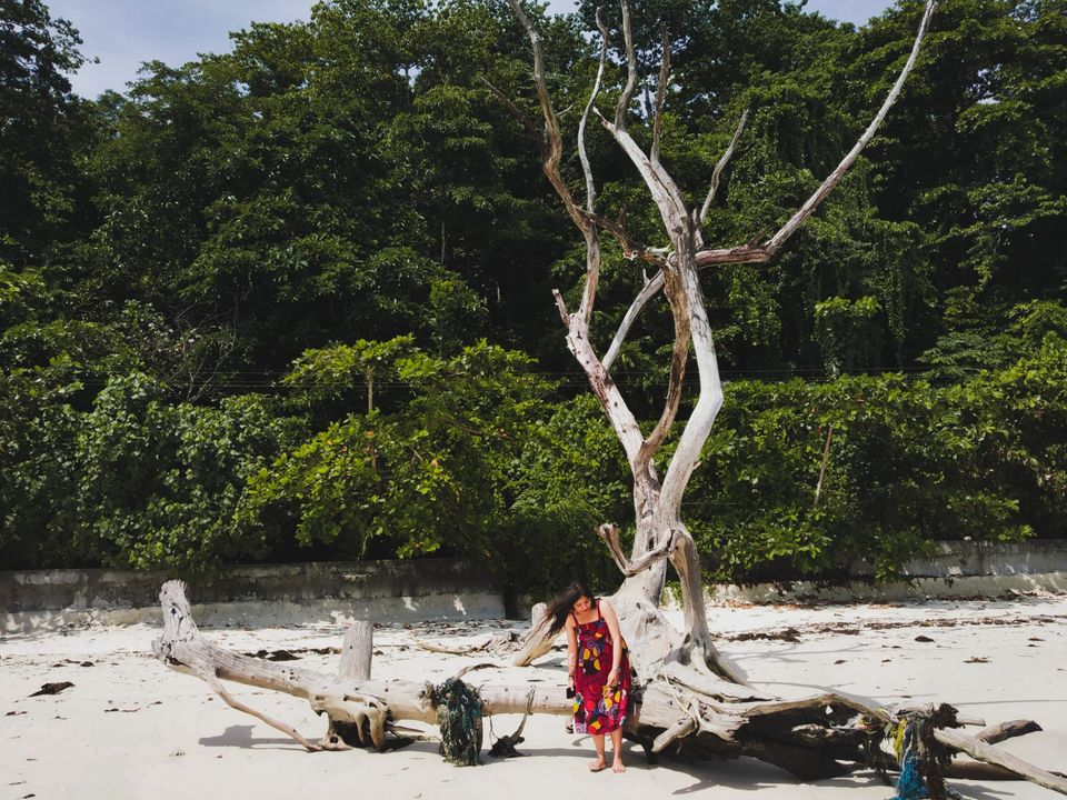 Photo of This Letter To Travelling Will Tug At Every Wanderer's Heart! by Nidhi Khurana