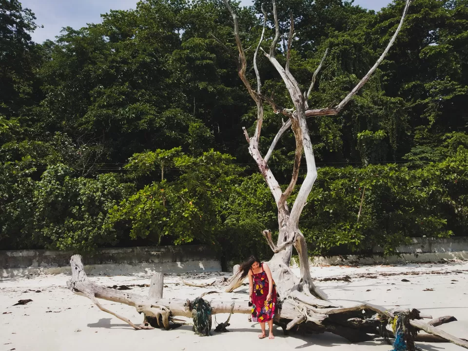 Photo of This Letter To Travelling Will Tug At Every Wanderer's Heart! by Nidhi Khurana