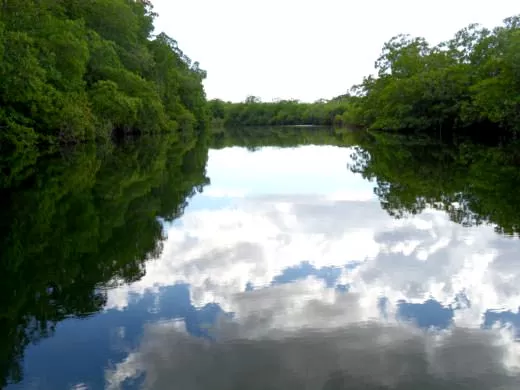 Photo of Black River, Saint Elizabeth Parish, Jamaica by Kristi Keller