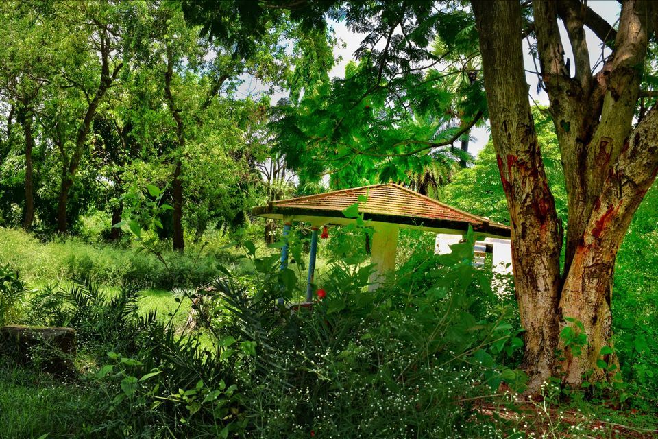 Photo of The grasslands of Asansol, West Bengal by lonely musafir