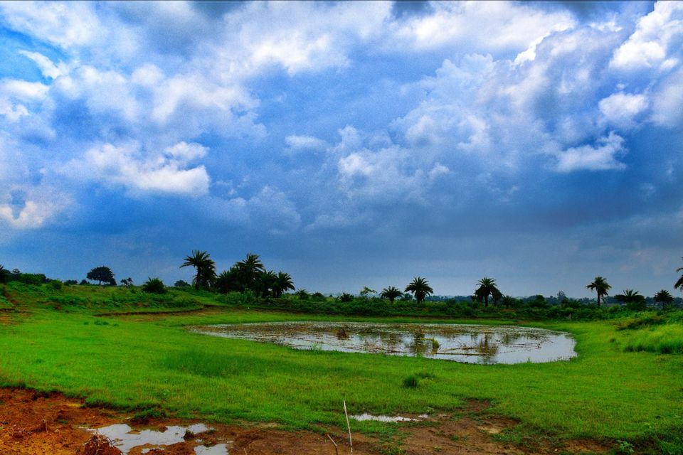 Photo of The grasslands of Asansol, West Bengal by lonely musafir