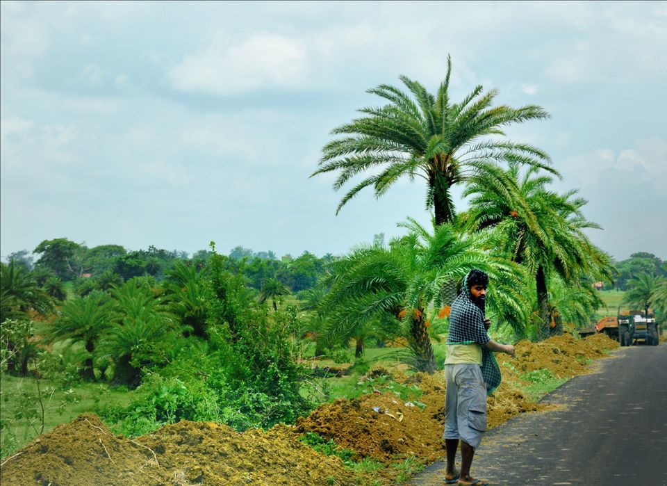 Photo of The grasslands of Asansol, West Bengal by lonely musafir