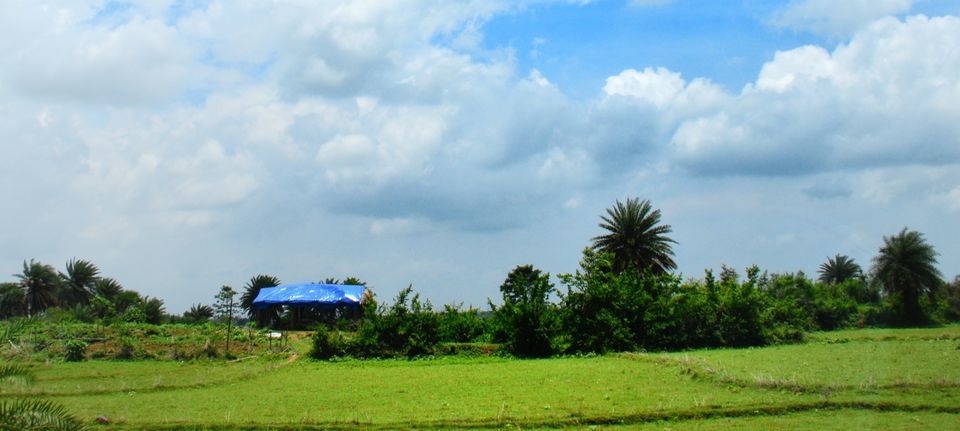 Photo of The grasslands of Asansol, West Bengal by lonely musafir
