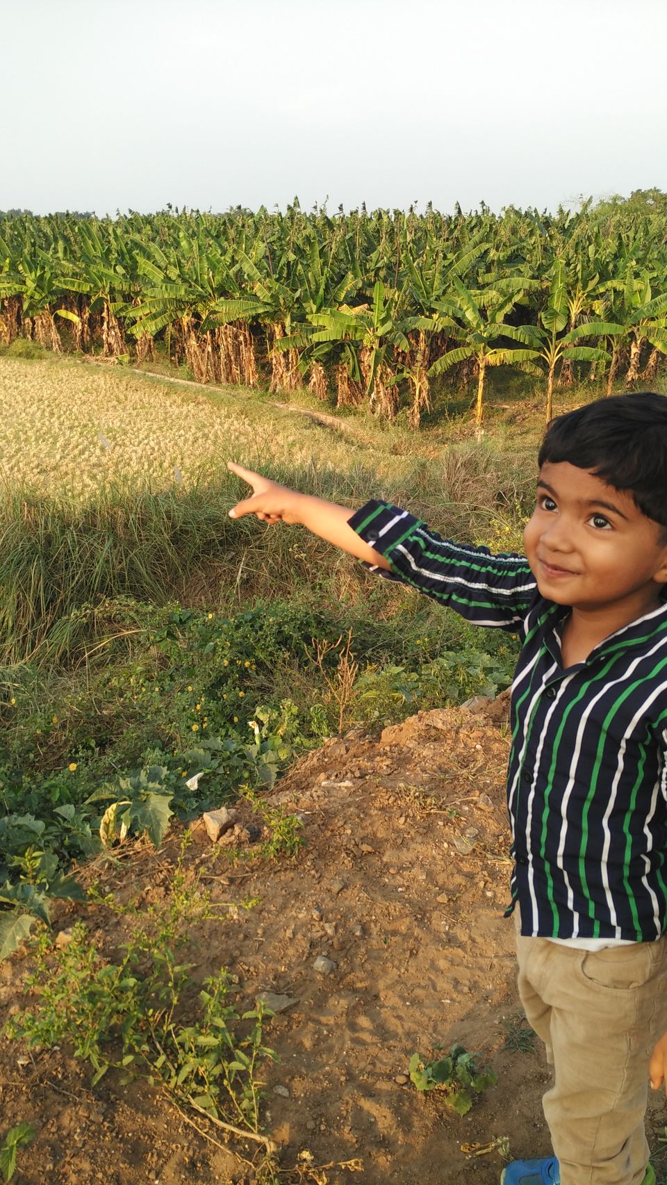 Photo of Thiruchirapalli (Trichy) - The "Malgudi" of my travelogue by lonely musafir