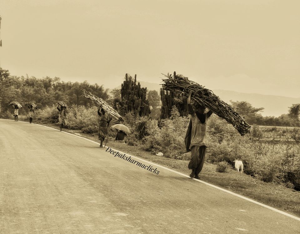 Photo of Ayodhya Hills- A Beautiful Tribal World Nested Inside a Dense Forest. by Deepak Sharma