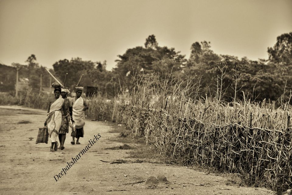 Photo of Ayodhya Hills- A Beautiful Tribal World Nested Inside a Dense Forest. by Deepak Sharma