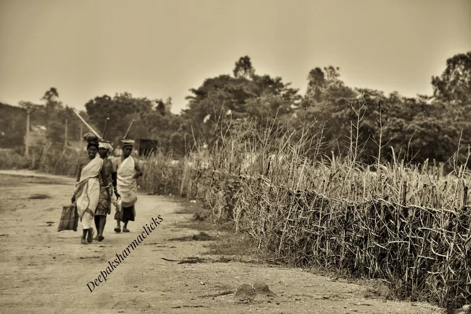 Photo of Ayodhya Hills- A Beautiful Tribal World Nested Inside a Dense Forest. by lonely musafir