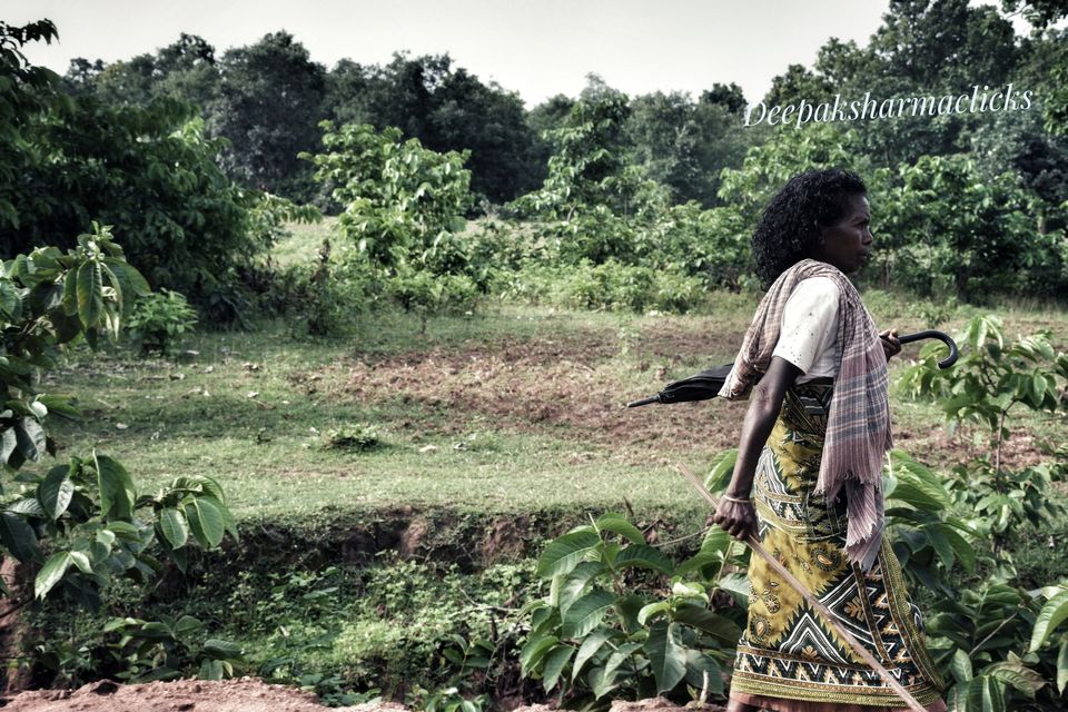 Photo of Ayodhya Hills- A Beautiful Tribal World Nested Inside a Dense Forest. by Deepak Sharma