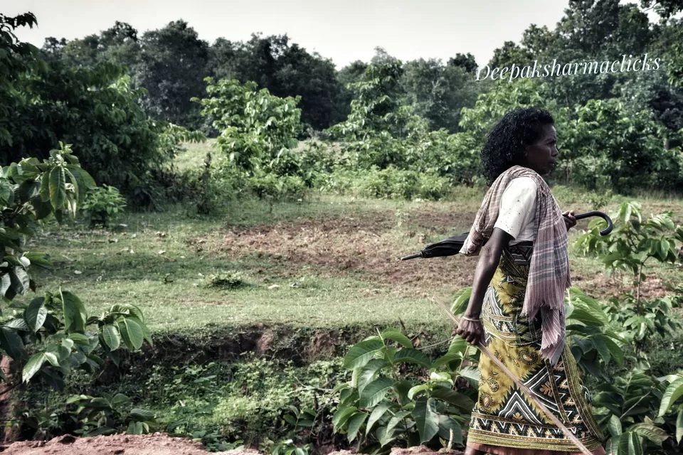 Photo of Ayodhya Hills- A Beautiful Tribal World Nested Inside a Dense Forest. by lonely musafir
